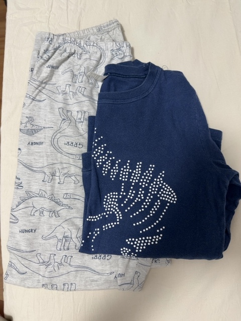 Pijama dinossauro